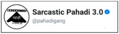 Sarcastic Pahadi 3.0